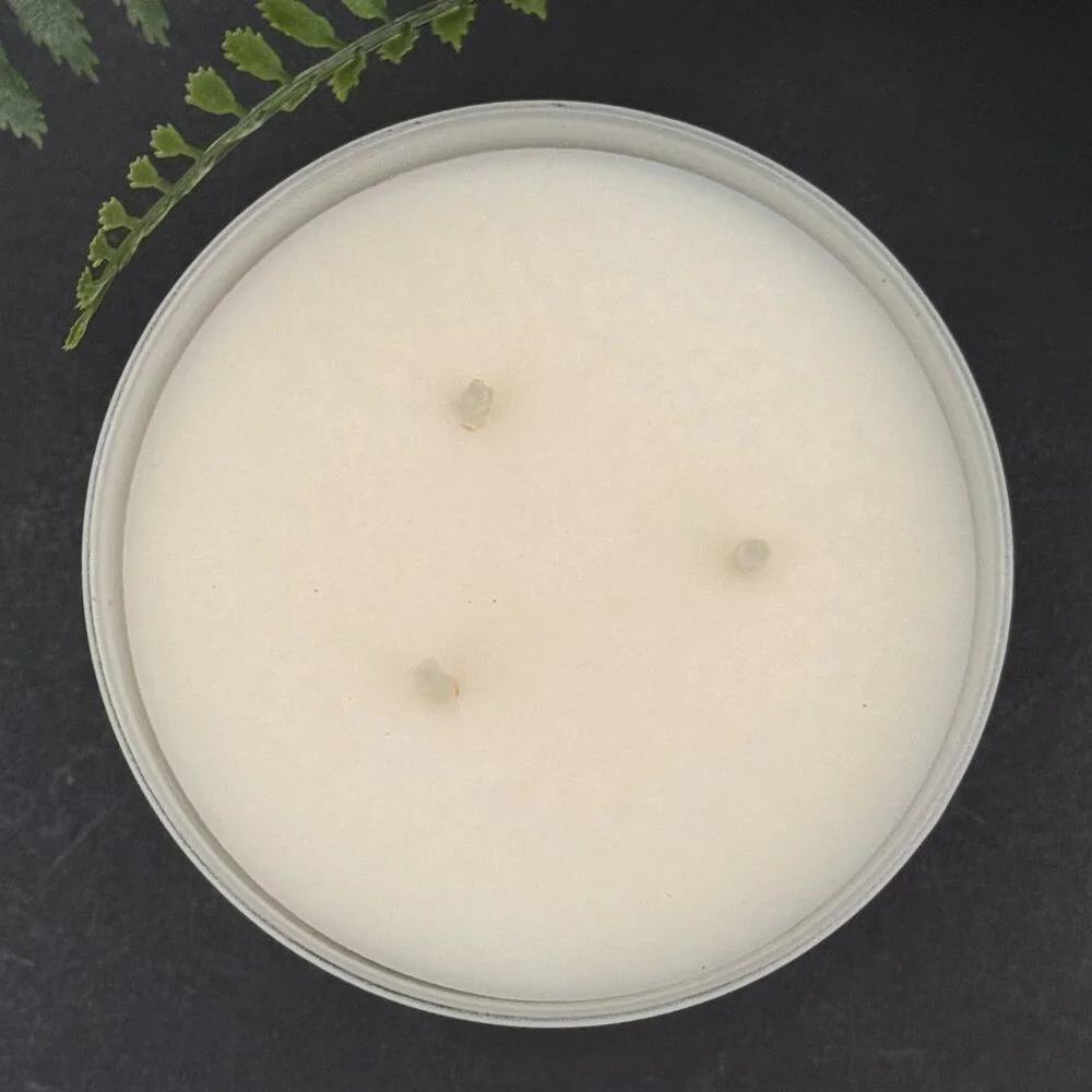 BBW Vanilla Bean Noel Bath & Body Works 3 Wick Candle
